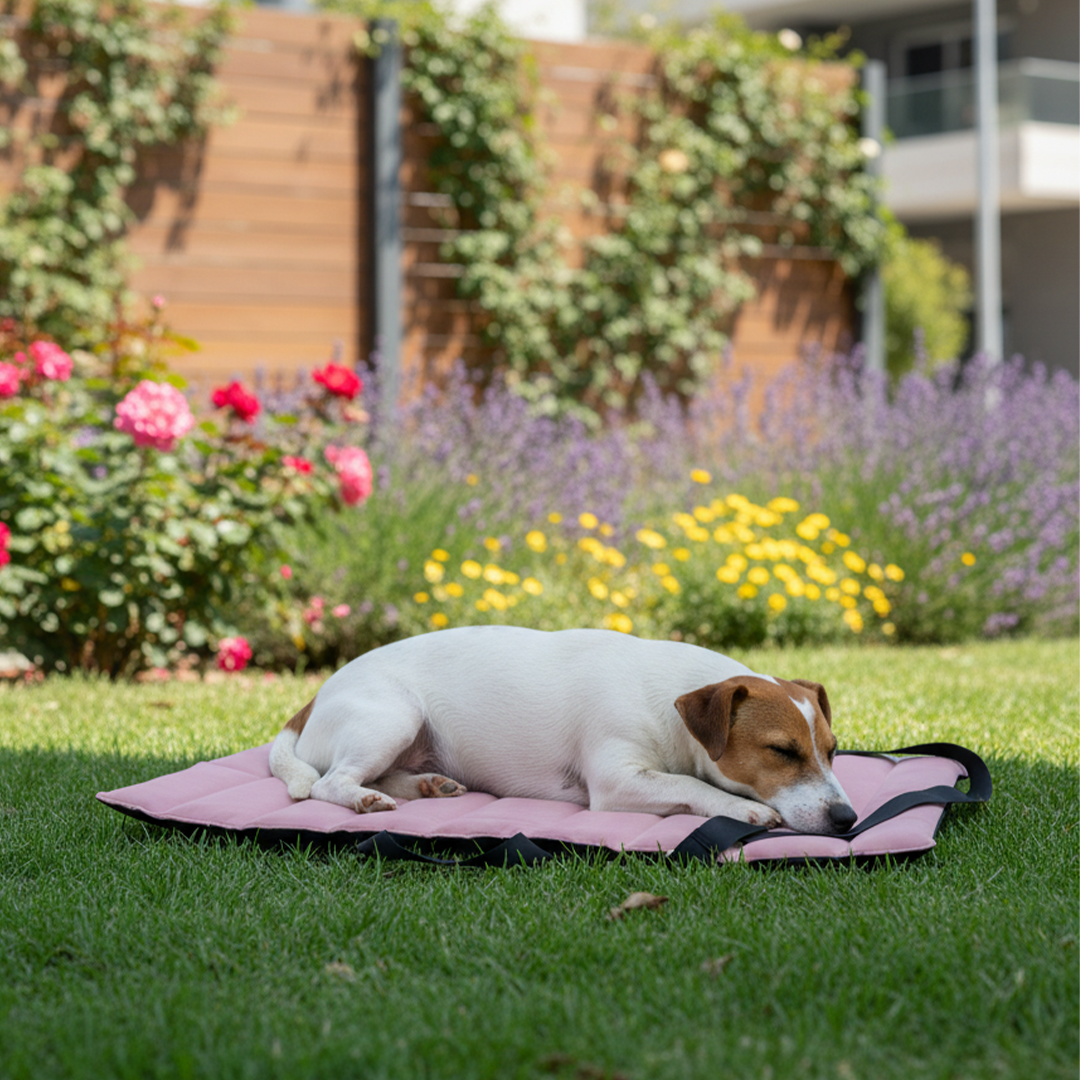 נטע מזרן חוץ